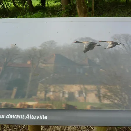 Chateau D'alteville 3*