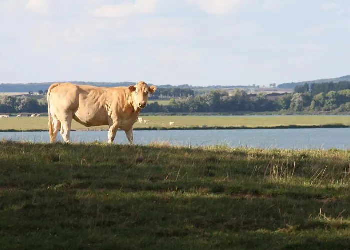 Chateau D'alteville 3*