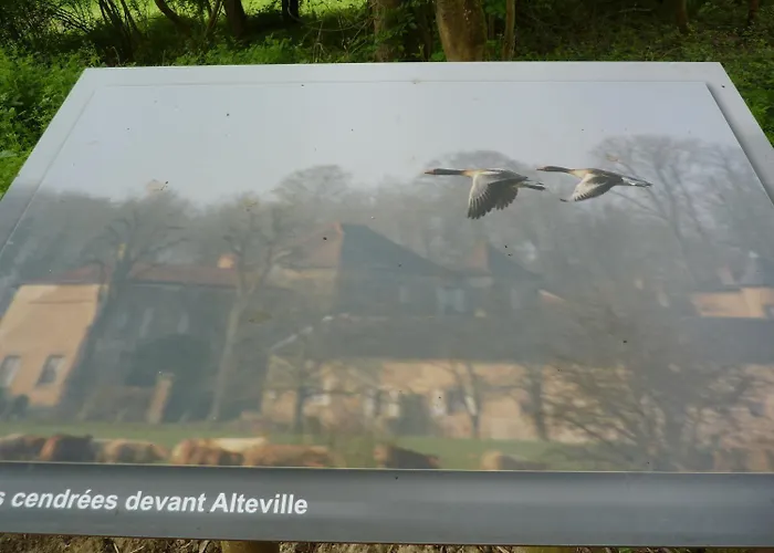 فندق Chateau D'alteville 3*